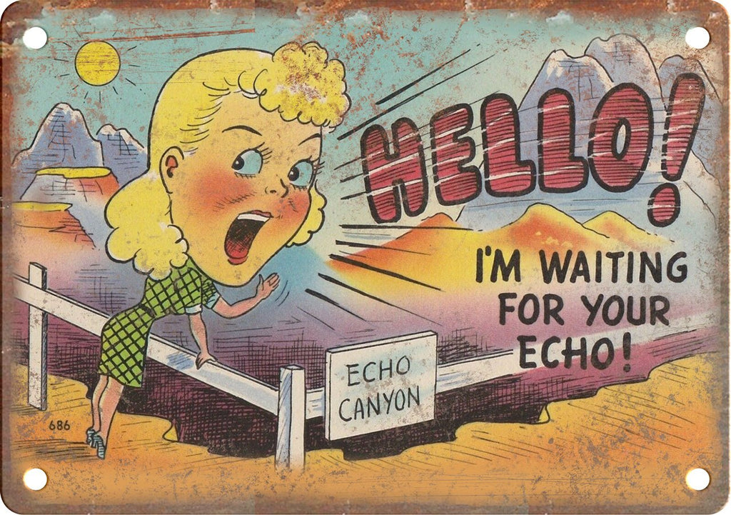 I'm Waiting For Your Echo! Metal Sign