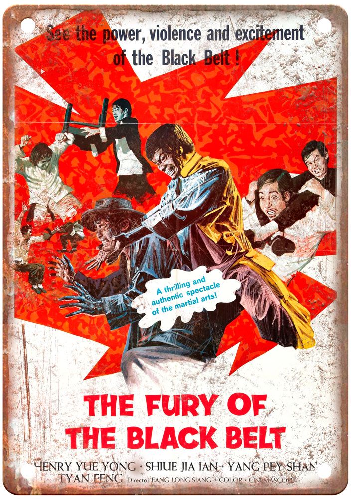 Fury Of Black Belt Vintage Movie Poster Old Retro Look Metal Sign