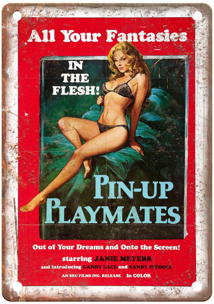 Pin Up Playmates Vintage Movie Poster Old Retro Look Metal Sign