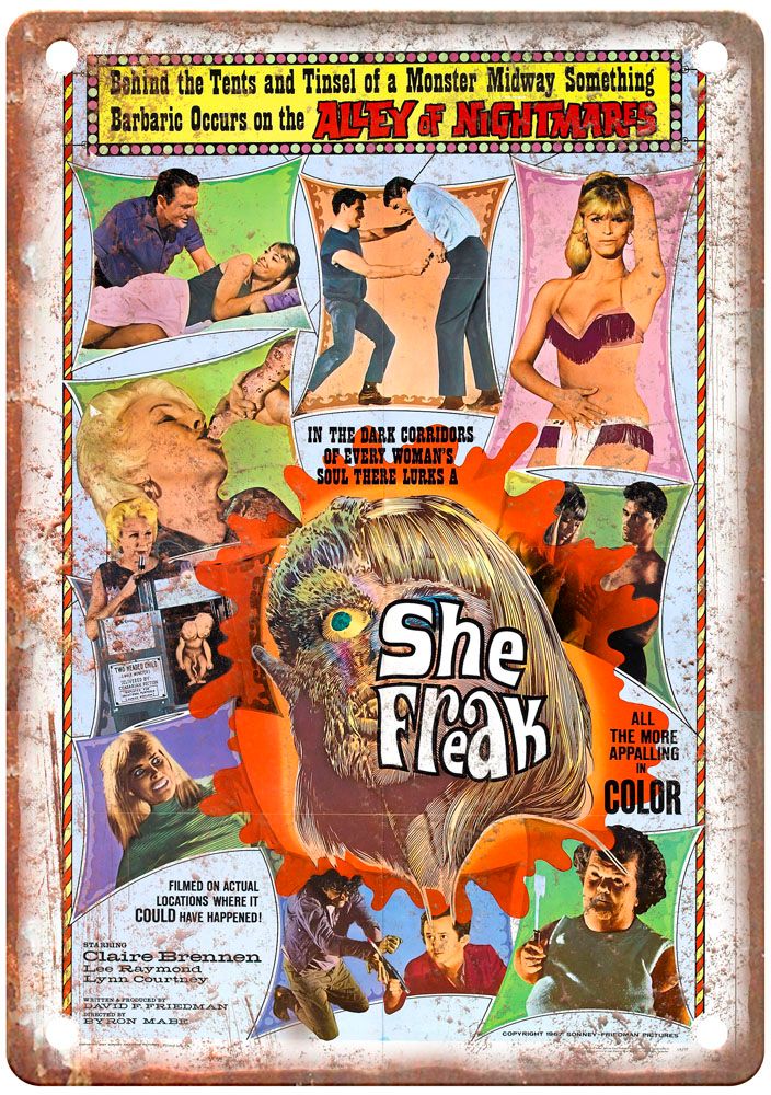 2849-E2 FINAL SINT TEASER 70x100indd Vintage Movie Poster Old Retro Look Metal Sign