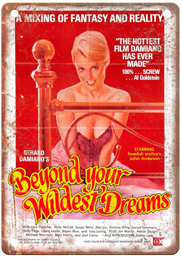 Beyond Your Wildest Dreams Vintage Movie Poster Old Retro Look Metal Sign