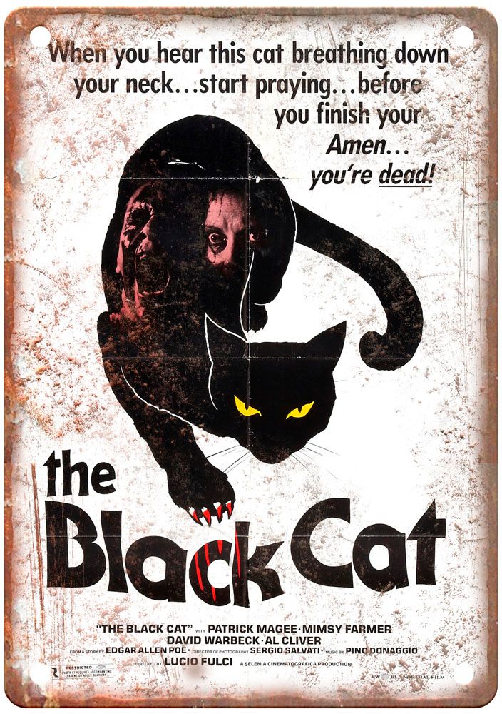 Black Cat 1981 Vintage Movie Poster Old Retro Look Metal Sign