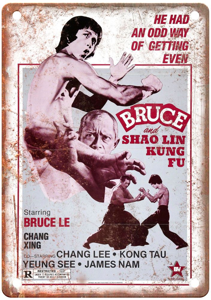 Bruce And Shao Lin Kung Fu Vintage Movie Poster Old Retro Look Metal Sign